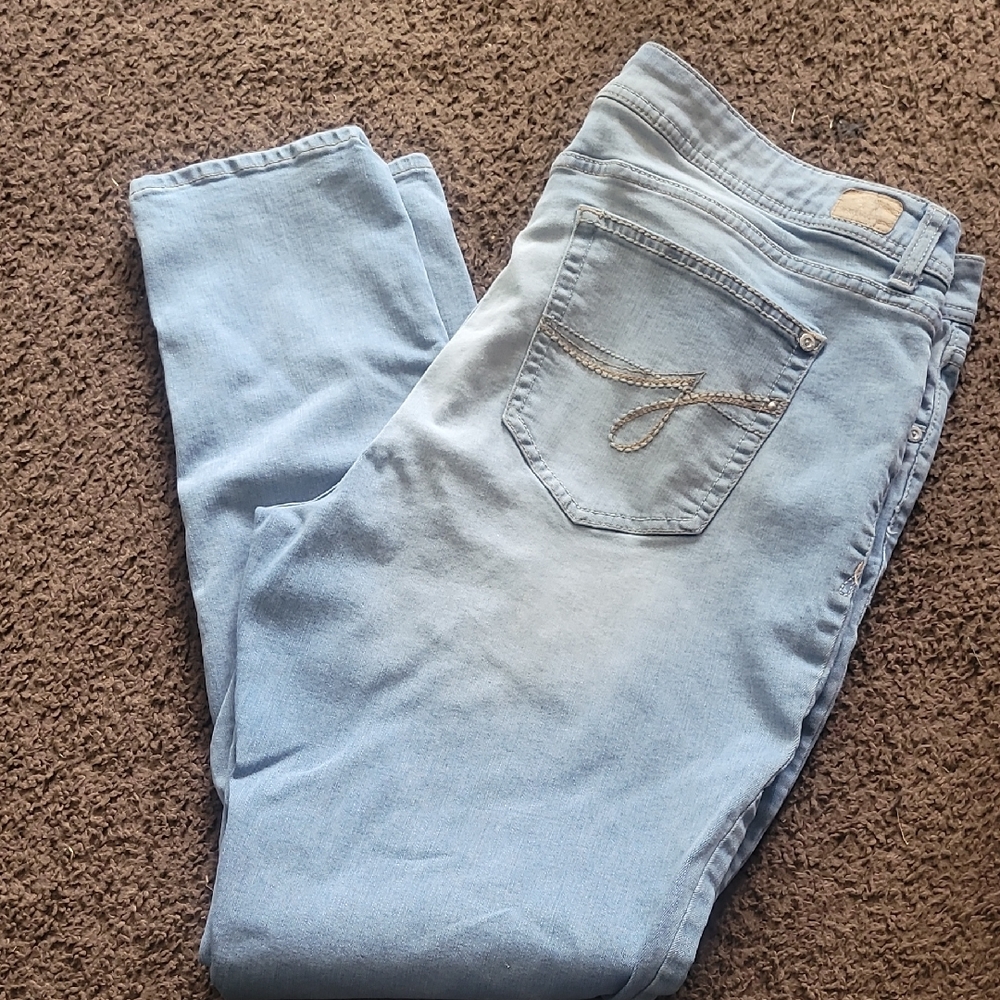 Jordache Light Blue Skinny Jeans
